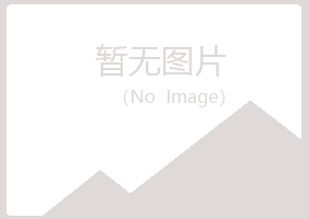 金山屯区迷失运输有限公司